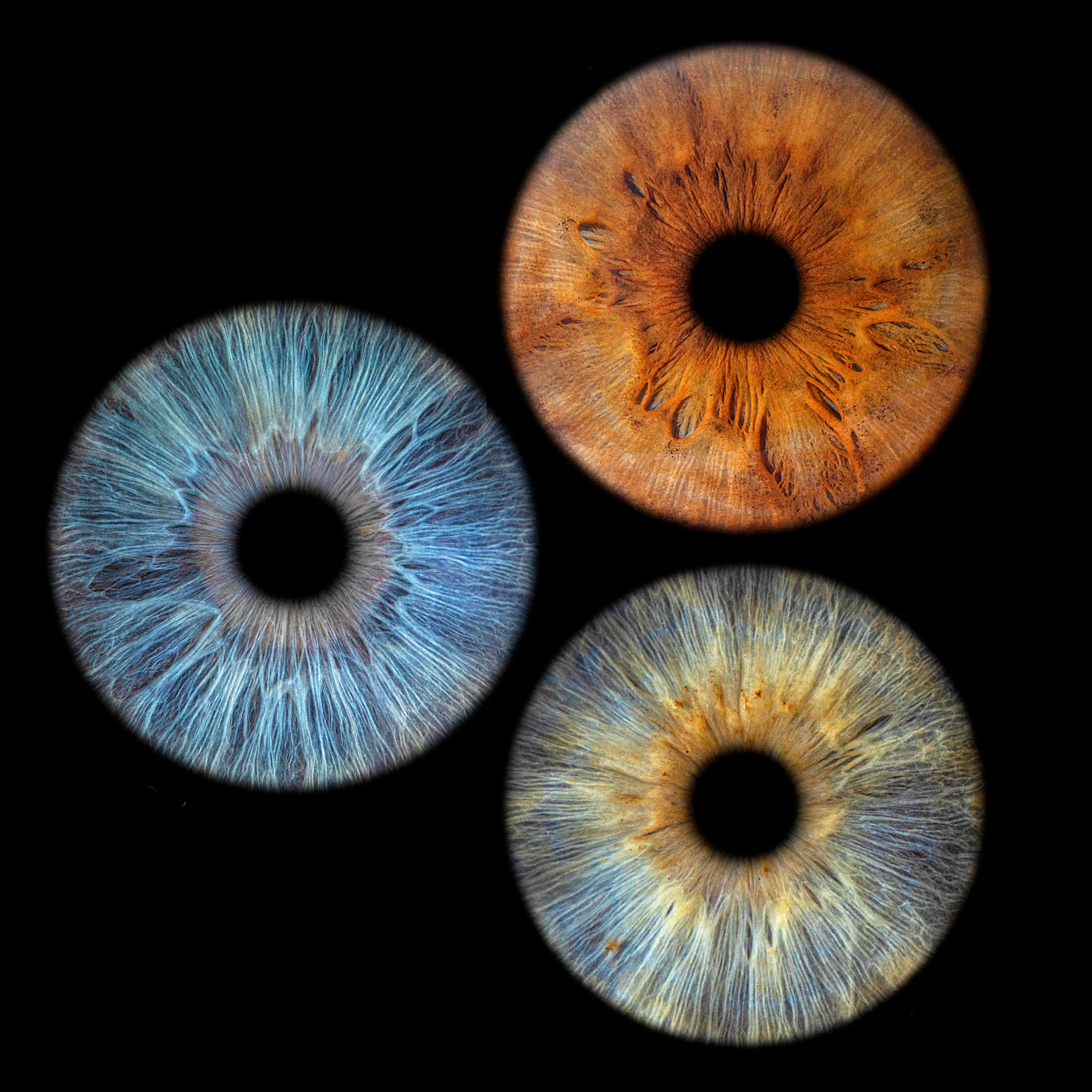 Makrofotografia tęczówki – EYE C U Poznań