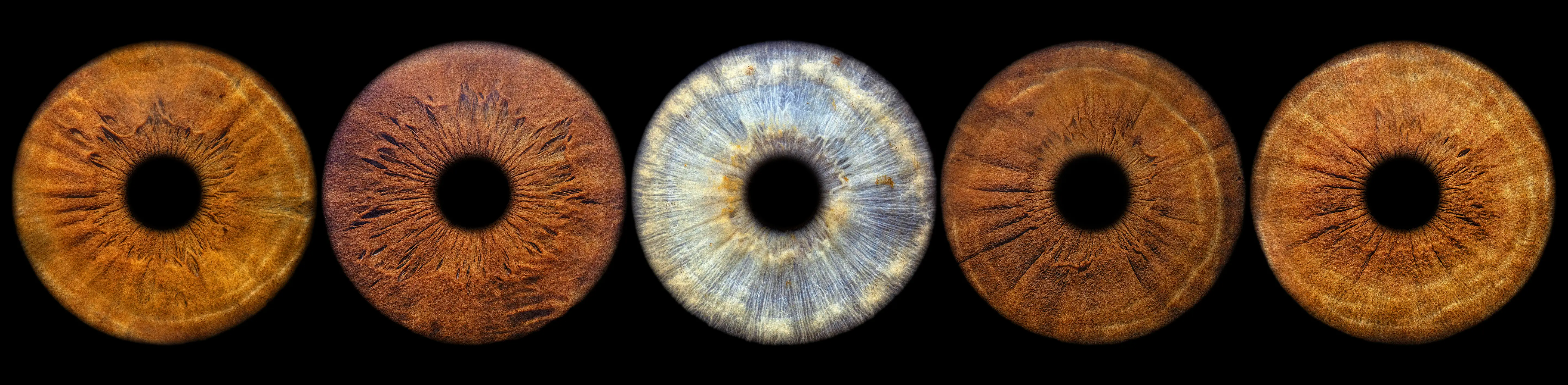 Rodzina ze zdjęciami irysa – EYE C U Iris Photo