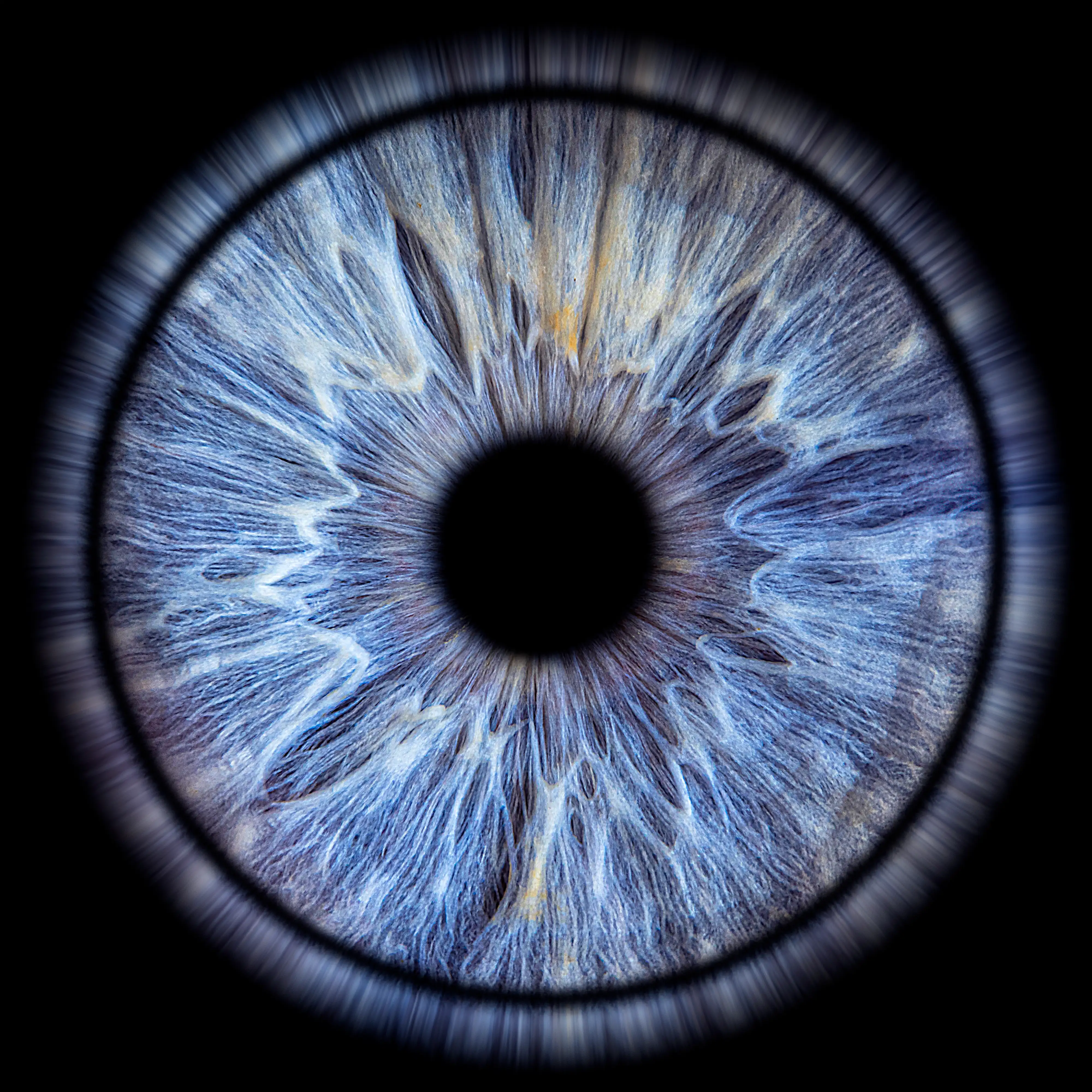 Makrofotografia tęczówki – EYE C U Poznań